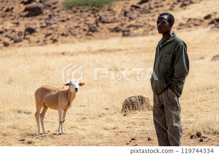 Young shepherd watching over his sheep in a dry landscape Young shepherd watching over his sheep in a dry landscape 119744334