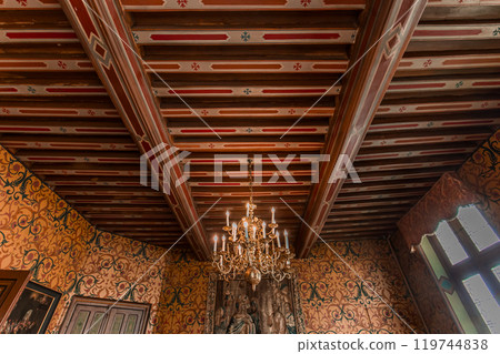 Palace Groslot, Orleans, France, interiors 119744838