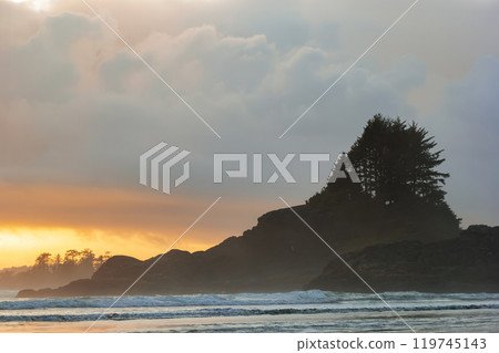 Ocean landscape in sunset light with waves, rocks and trees. 119745143