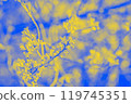 Abstract blue and lemon yellow background with twig with buds 119745351