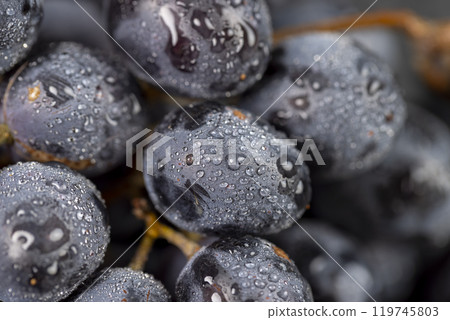 fresh grapes are lying on black paper 119745803