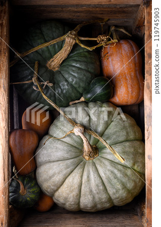 Different types and colors pumpkins in wooden box 119745903