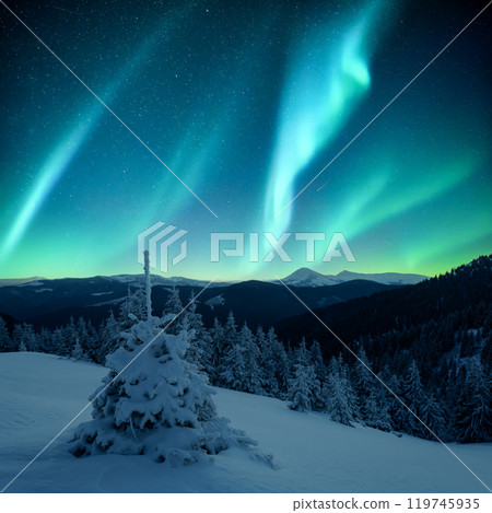 Gorgeous landscape with Northern lights in winter mountains 119745935