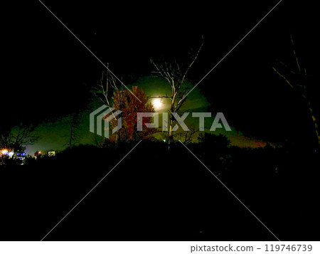 Night landscape with a full moon and trees in the foreground. Long exposure. 119746739