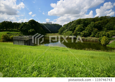 松壽司姬公園牛姫池 松壽司姬公園牛姫池 119746743