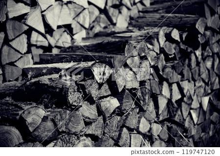 Stacked old firewood 119747120