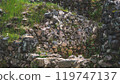 Ancient fortress stone walls in country of Georgia history ruins 119747137