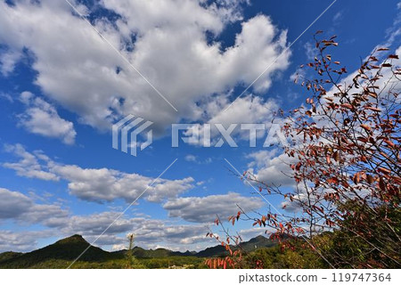 秋天的有馬富士 119747364