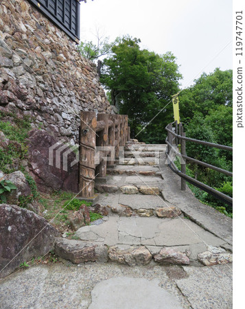 Gifu Castle Stone Stairs 119747701