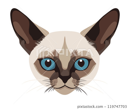 Siamese cat head. Vector isolated illustration Siamese cat head. Vector isolated illustration 119747703