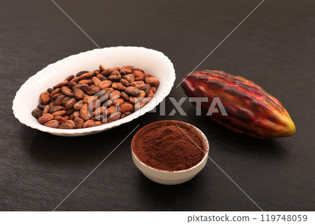 可可粉 119748059