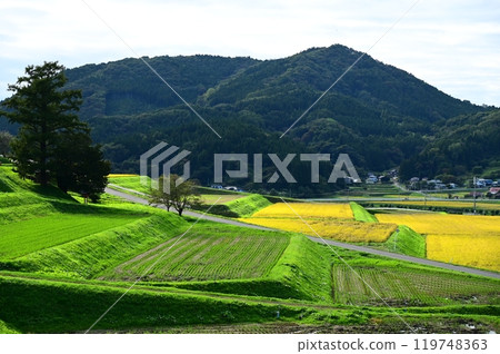 Terraced fields of Miyamori 119748363