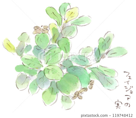 秋季植物，可愛形狀的水果，如奇異果和梨，費約果的水彩插圖 119748412