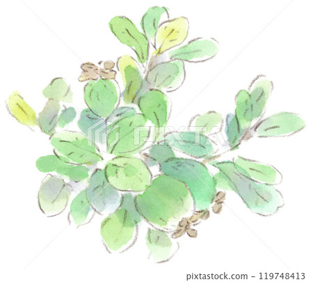 秋季植物，可愛形狀的水果，如奇異果和梨，費約果的水彩插圖 119748413