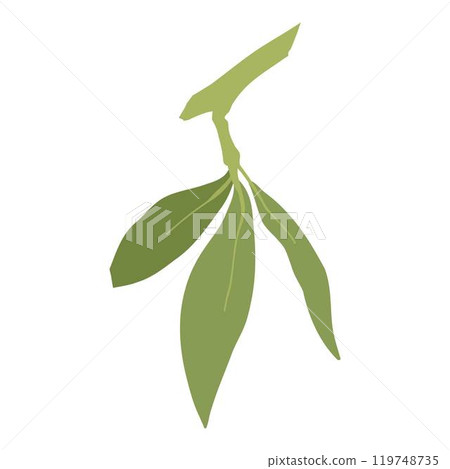 Cartoon green olives. Organic olive leaf branch, organic vegetarian food for logo design, natural green olives healthy product. Vector isolated icon. Cartoon green olives. Organic olive leaf branch, organic vegetarian food for logo design, natural green olives healthy product. Vector isolated icon. 119748735