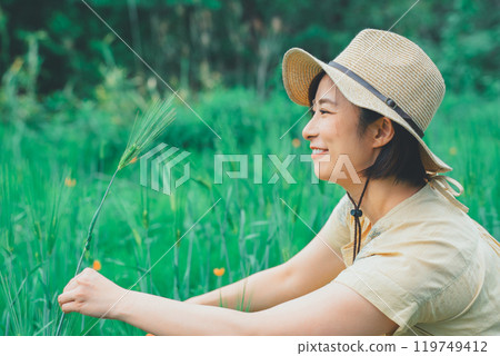 Picking wheat Picking wheat 119749412