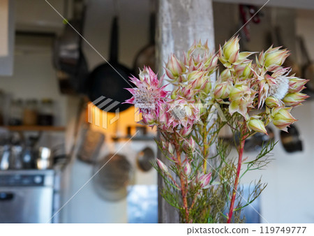 咖啡廳餐廳鮮花 119749777