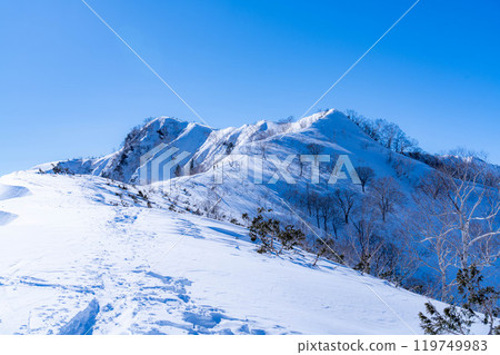 [Snowy mountain material] Landscape seen from Mt. Kotomi in winter [Nagano Prefecture] 119749983