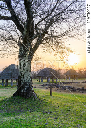 繩文世界遺產大湯石環的夜景 119750027