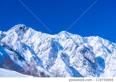 [雪山素材] 冬天出現在五龍山的雪谷，武田菱[長野縣] 119750069