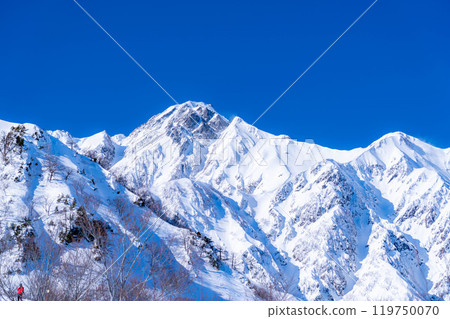 [雪山素材] 冬天出現在五龍山的雪谷，武田菱[長野縣] 119750070