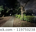 Fantastic park at night 119750238