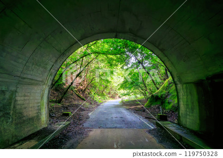 神奈川縣相模原市隼人川林道美麗鮮綠的隧道 2024 年 6 月 119750328