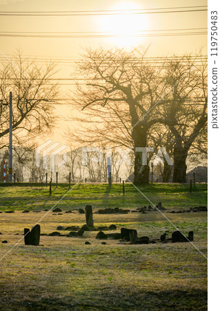 Evening view of the Oyu Stone Circle, a Jomon World Heritage Site Evening view of the Oyu Stone Circle, a Jomon World Heritage Site 119750483