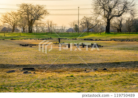 Evening view of the Oyu Stone Circle, a Jomon World Heritage Site Evening view of the Oyu Stone Circle, a Jomon World Heritage Site 119750489
