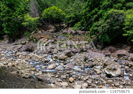 The beautiful murmuring of the Kanazawa River as seen from a forest road Hayatogawa Forest Road, Sagamihara City, Kanagawa Prefecture, June 2024 119750675