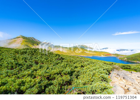 [山材]初秋的白馬禦池[長野縣] 119751304