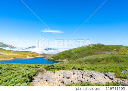 [Mountain material] Hakuba Oike Pond in early autumn [Nagano Prefecture] 119751305