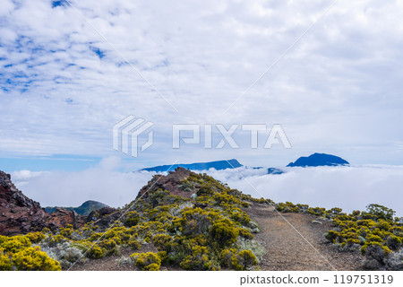 Aerial view of Piton de la Fournaise volcano, Reunion Island, France. 119751319