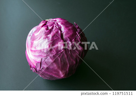 紫甘藍 119751511