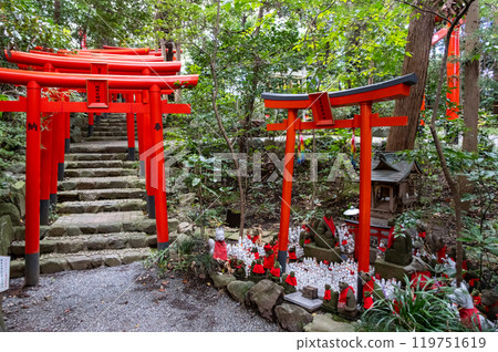 白笠稻荷神社 神奈川縣秦野市 119751619
