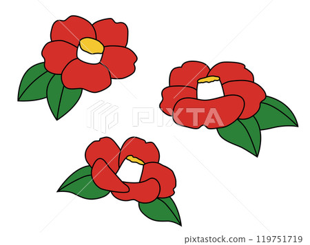 簡單的山茶花圖 簡單的山茶花圖 119751719