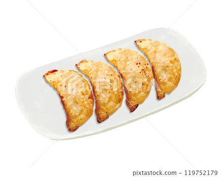 Fried dumplings (with plate) Fried dumplings (with plate) 119752179