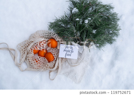 SNOW MUCH FUN text on postcard Mesh shopping bag with tangerines with fir branch and garland in snowy winter outdoor. Go green concept eco-friendly sustainable Christmas. Flat lay in snow background SNOW MUCH FUN text on postcard Mesh shopping bag with tangerines with fir branch and garland in snowy winter outdoor. Go green concept eco-friendly sustainable Christmas. Flat lay in snow background 119752671