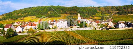 Panoramic view of Saint-Aubin village 119752825