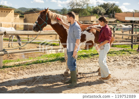 Young man and woman brushing horse 119752889