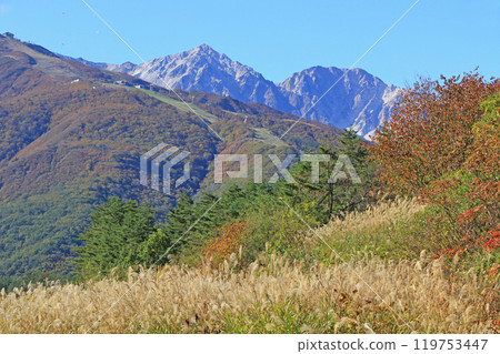 Autumn in Hakuba: Happoone and the Hakuba mountain range 119753447