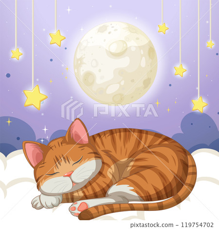 Sleeping Cat Under the Moonlit Sky 119754702