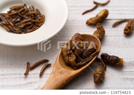 昆蟲食品 蠶 黃粉蟲 119754823