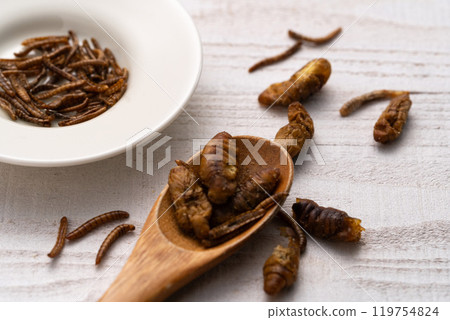 昆蟲食品 蠶 黃粉蟲 昆蟲食品 蠶 黃粉蟲 119754824