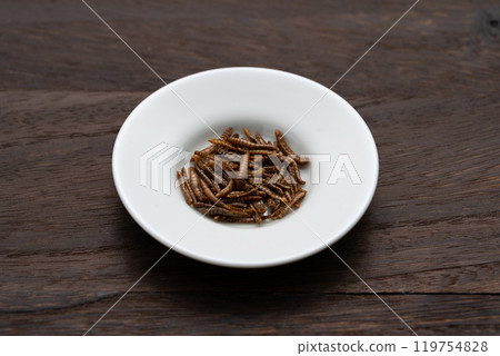 黃粉蟲昆蟲食品 119754828