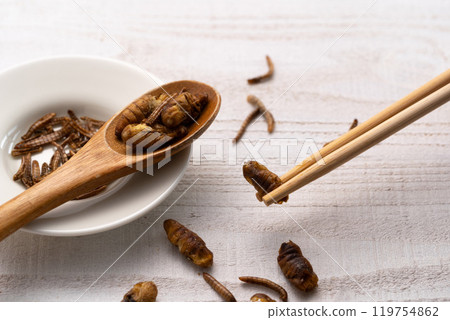 昆蟲食品、蠶、黃粉蟲、肉品替代品 昆蟲食品、蠶、黃粉蟲、肉品替代品 119754862