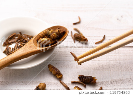 昆蟲食品、蠶、黃粉蟲、肉品替代品 119754863