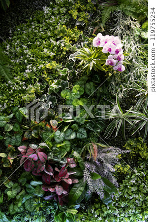 Green plants decorate on wood wall Green plants decorate on wood wall 119755234