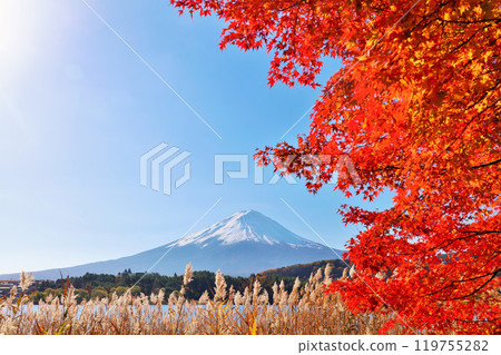 秋葉、蒲葦和富士山 119755282