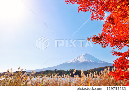 秋葉、蒲葦和富士山 119755283